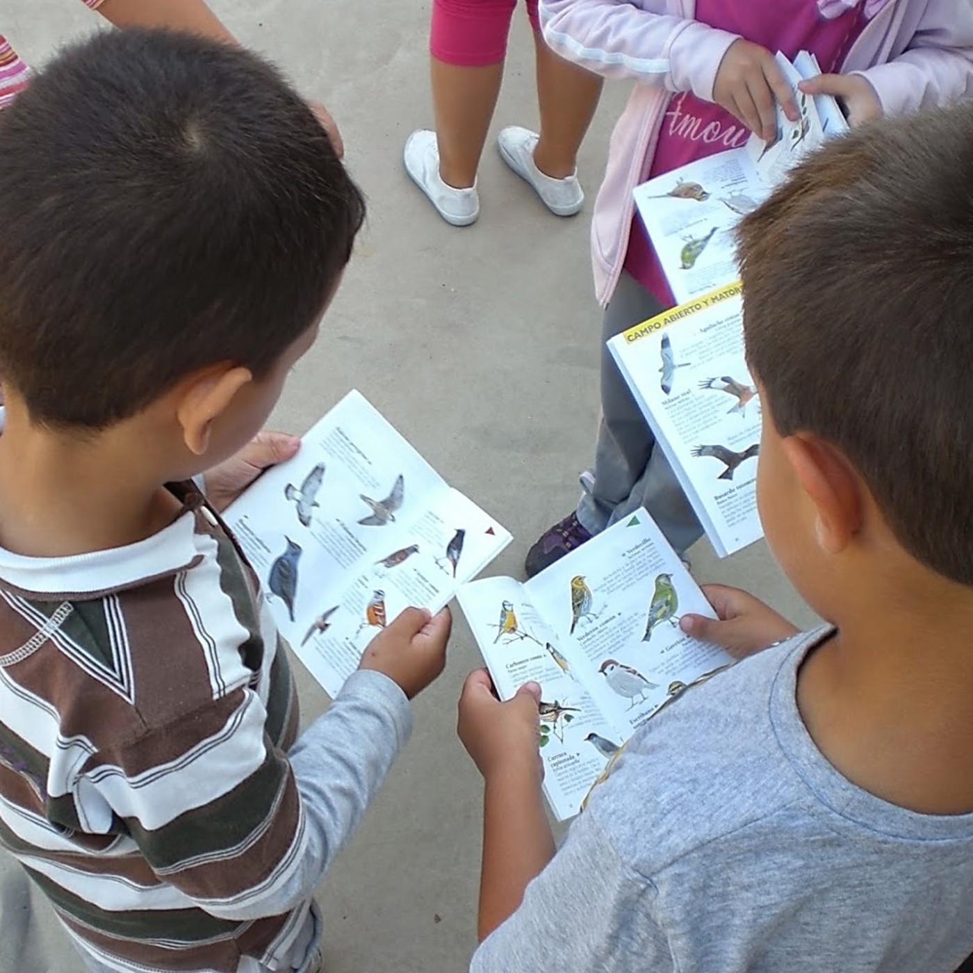 Escuelas en Red