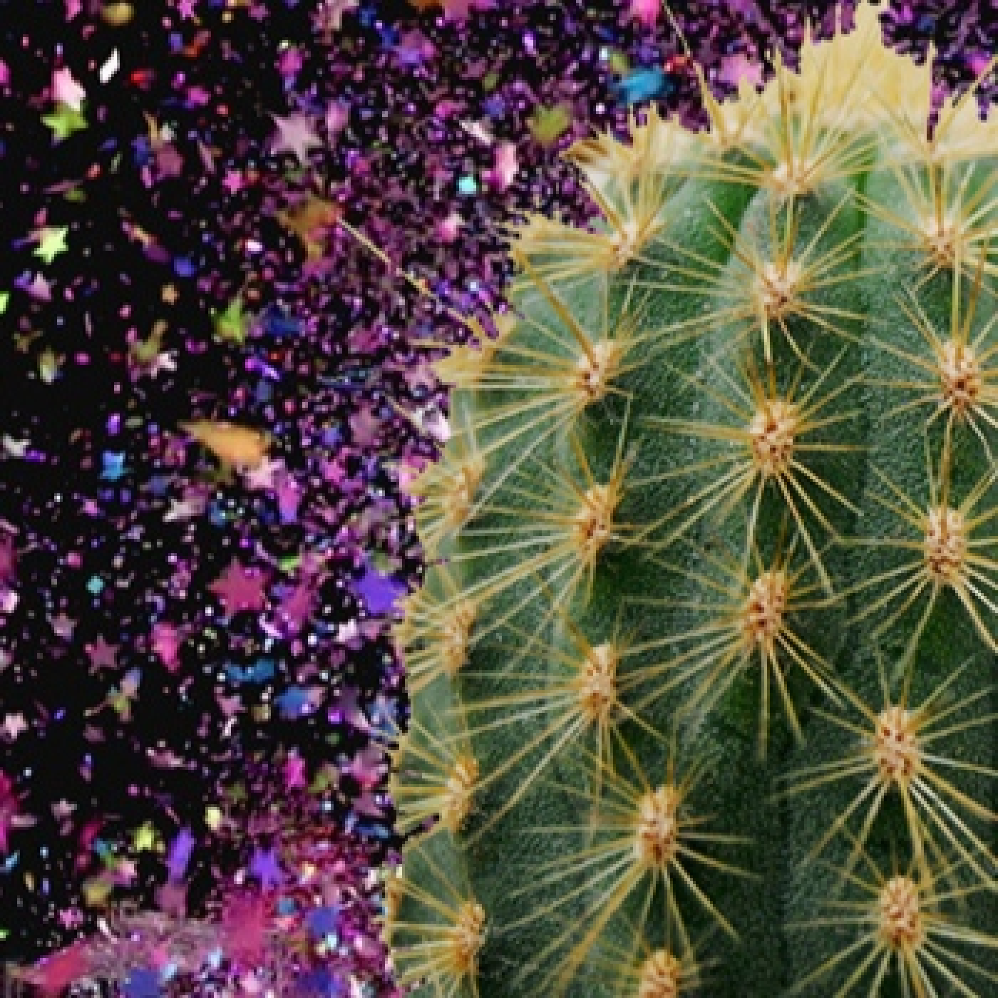 Cactus Confetti