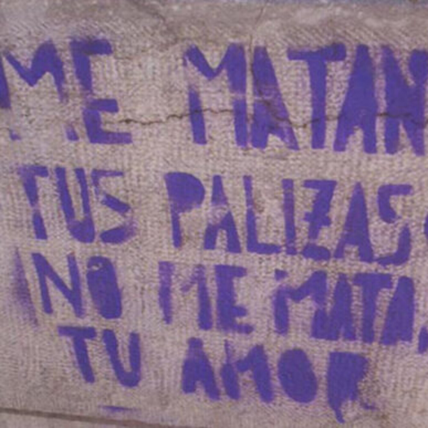 Emergencia feminista, el Observatorio de Equidad de Género en la casa episode artwork