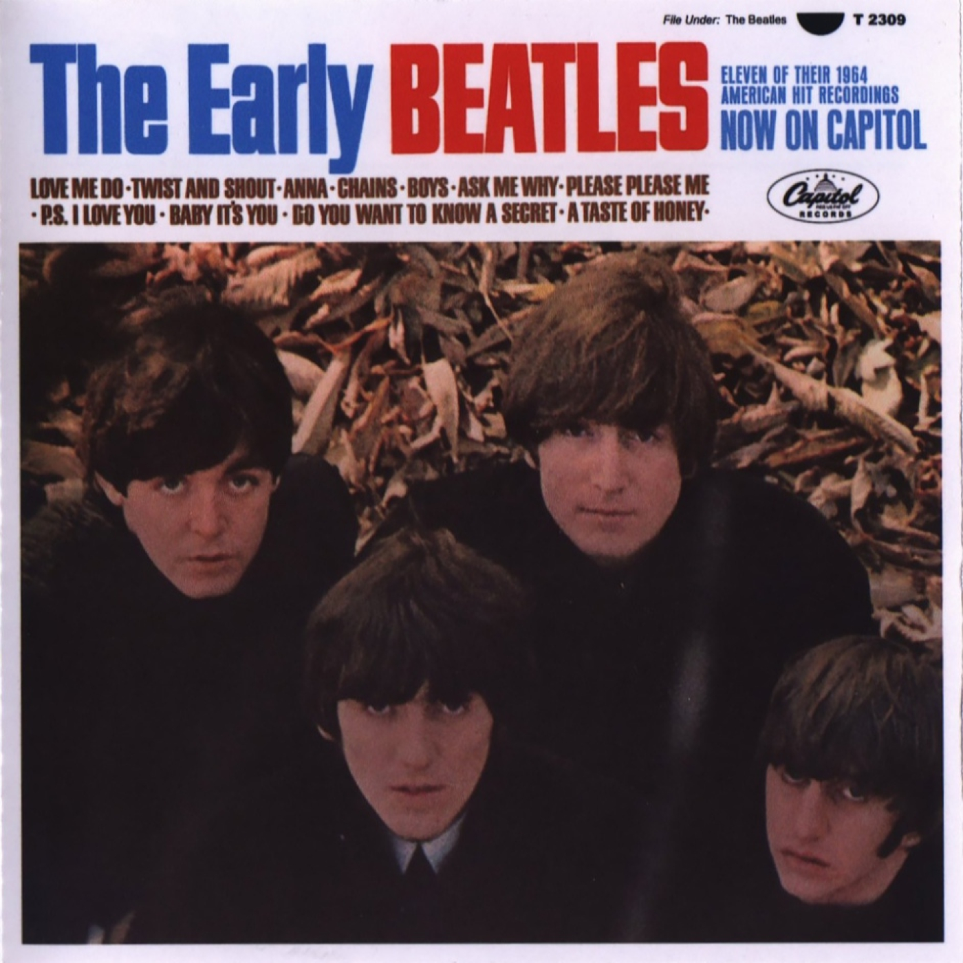 Strawberry Fields Beatles Podcast
