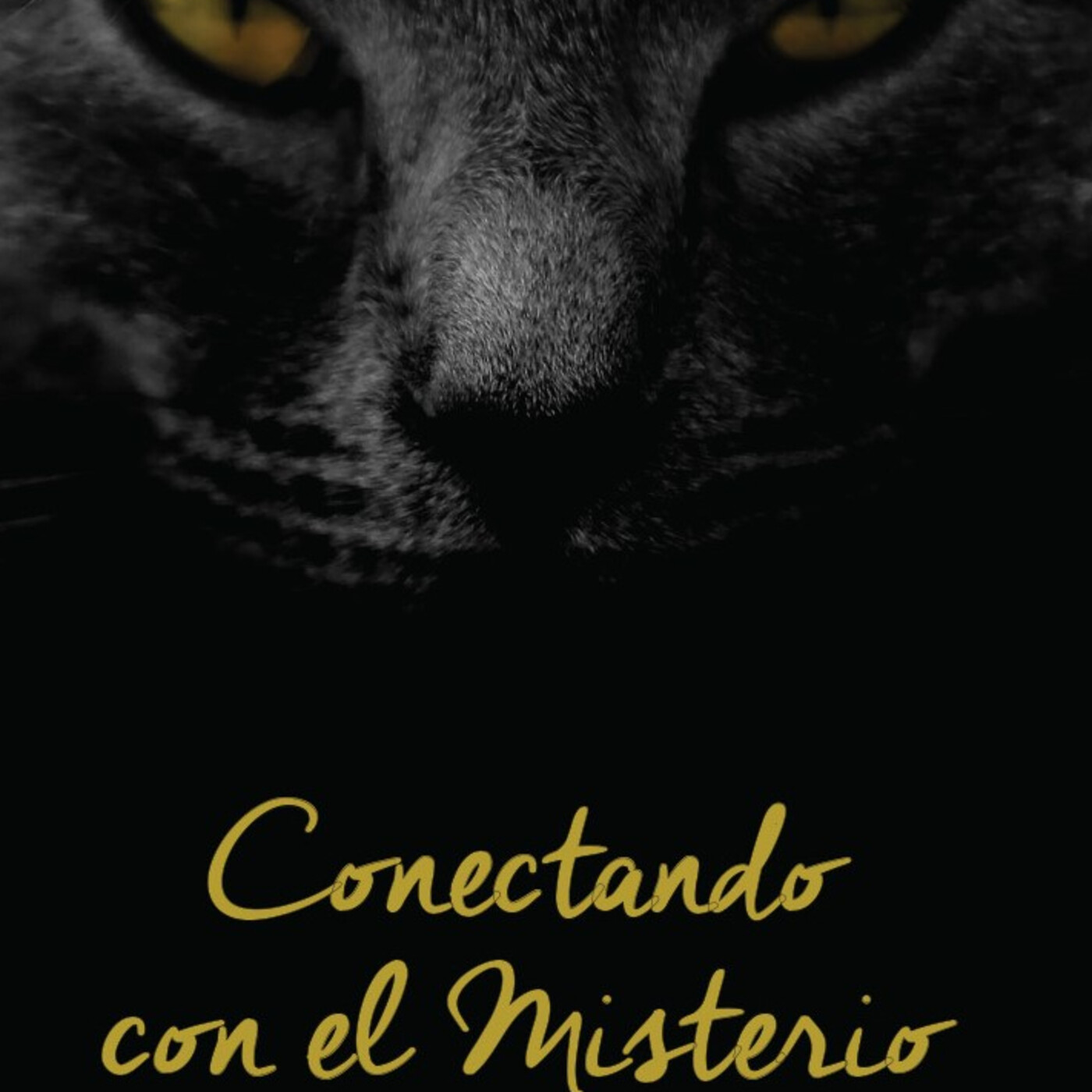 Conectando con el Misterio