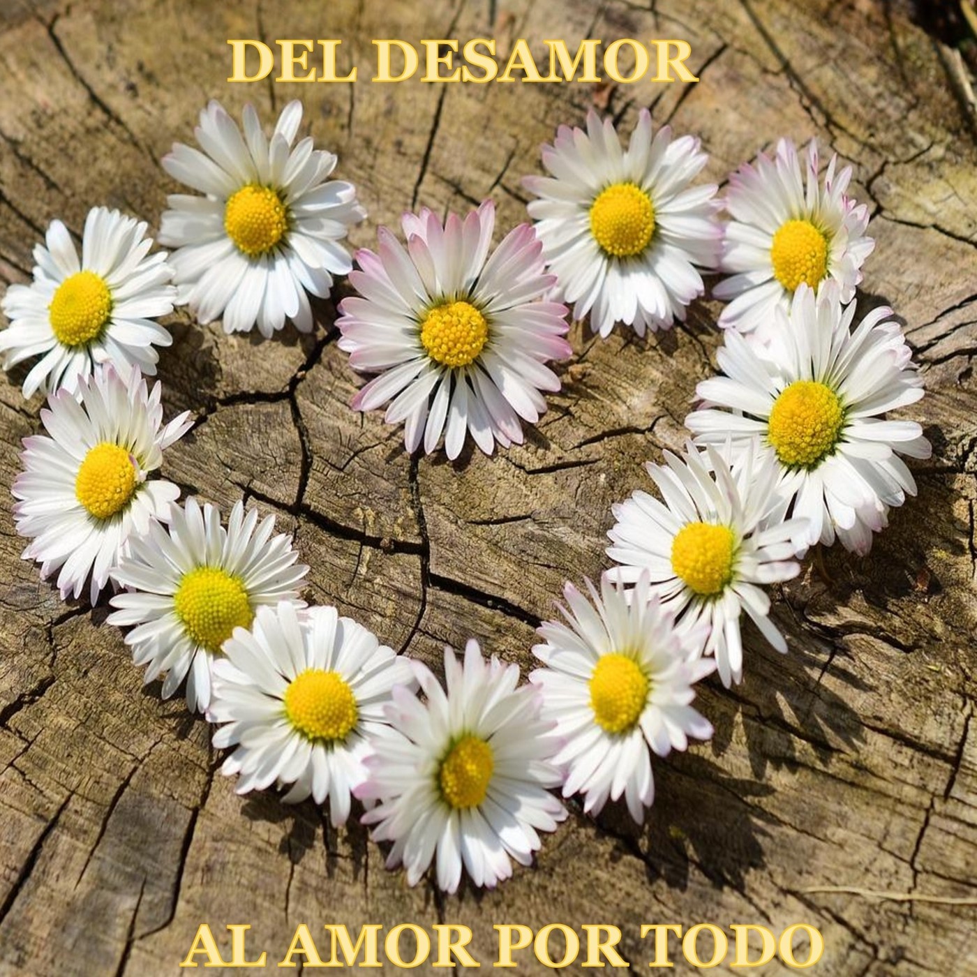 10 Claves para comenzar a amar-te