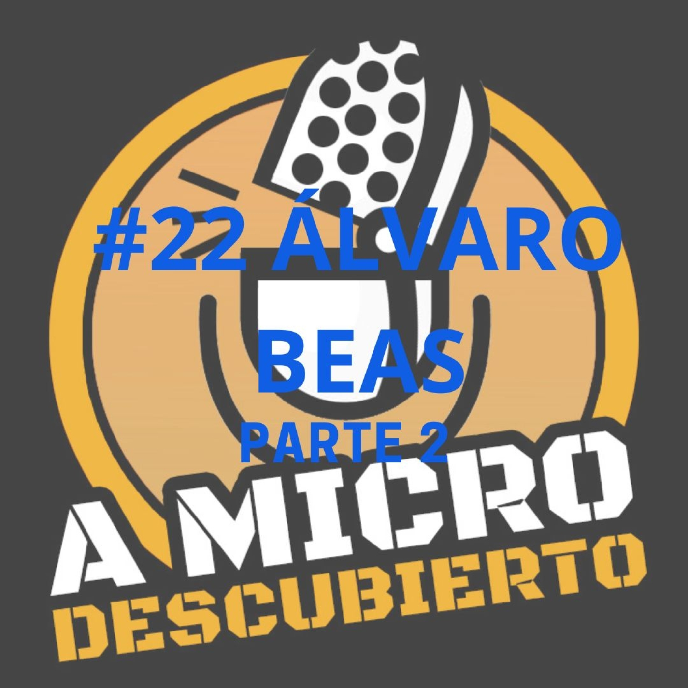 A Micro Descubierto
