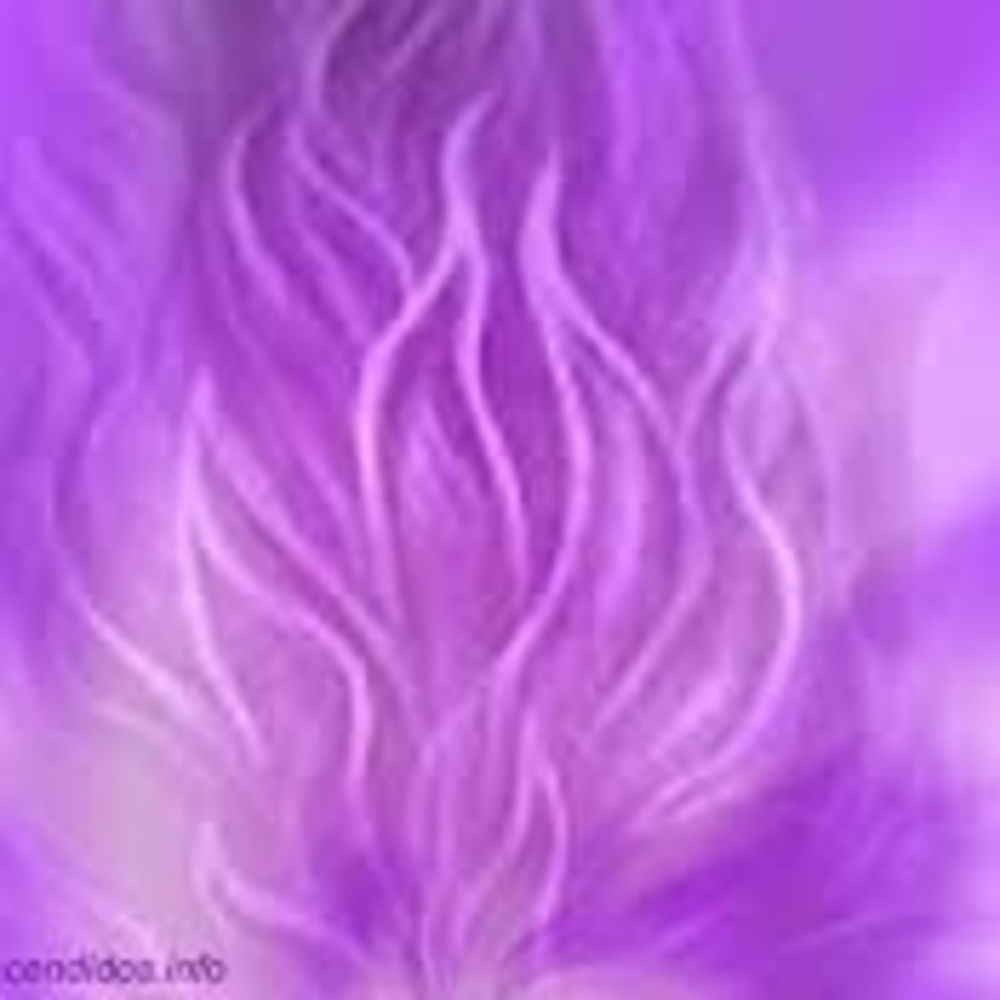 Norma Elizabeth Pimienta