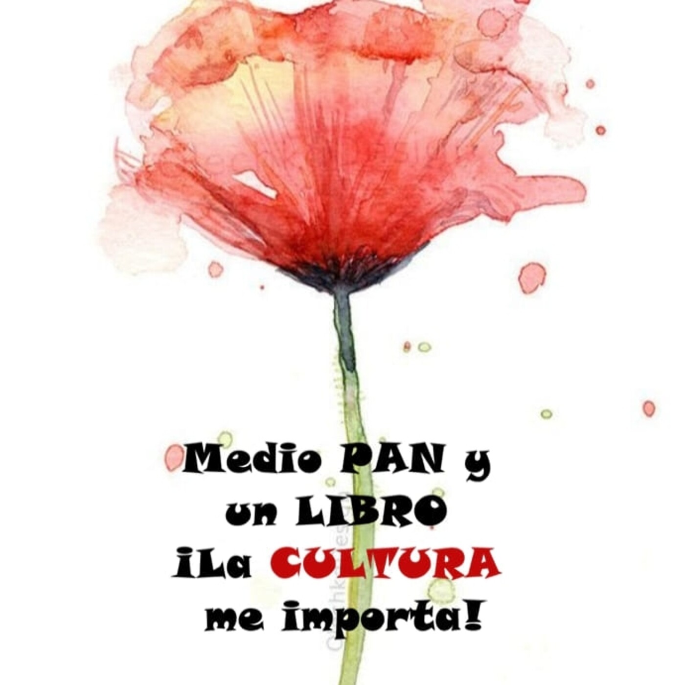 Medio pan y un libro.