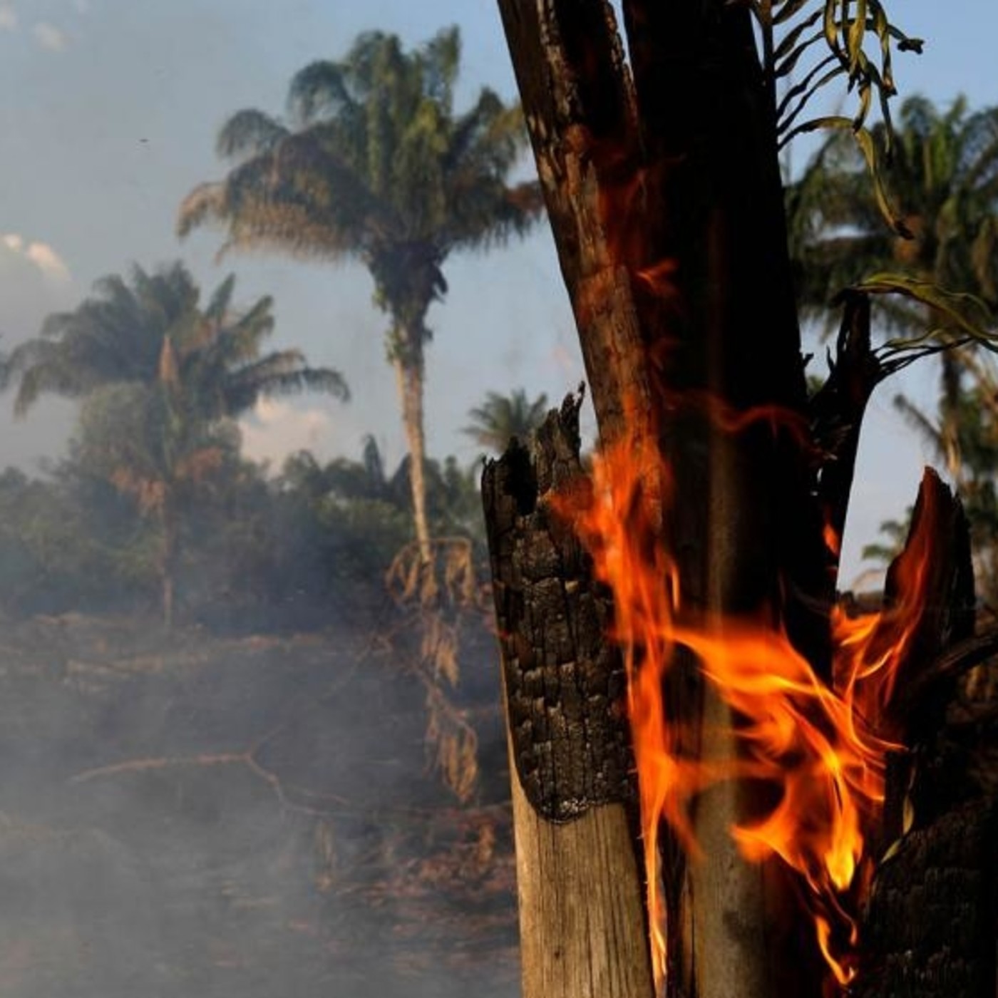 Norma Elizabeth Pimienta