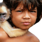 embed image