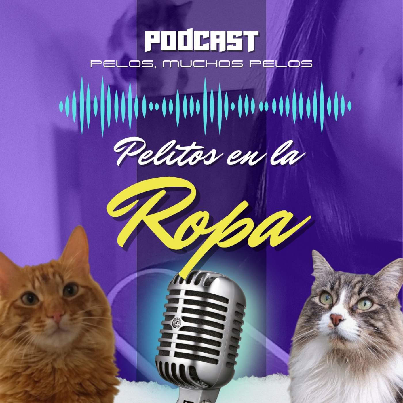 PELR: Pelitos en la Ropa