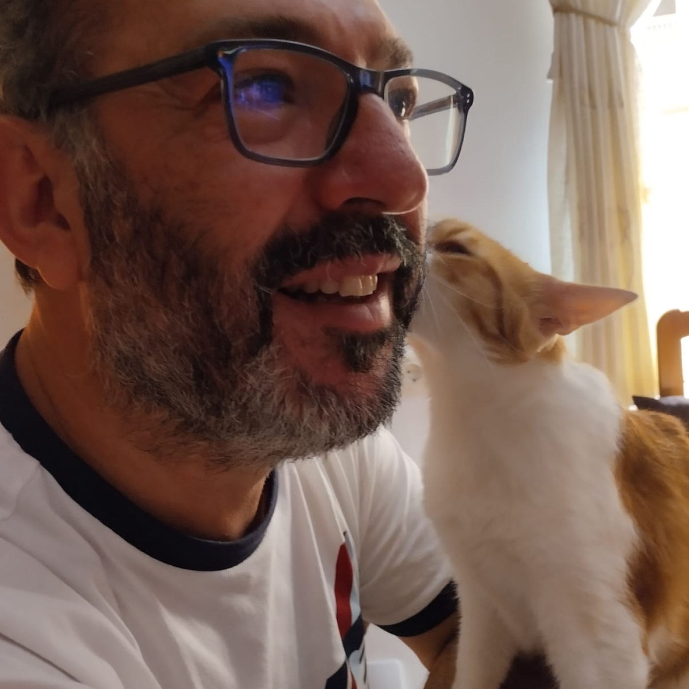 Buscadores de la verdad