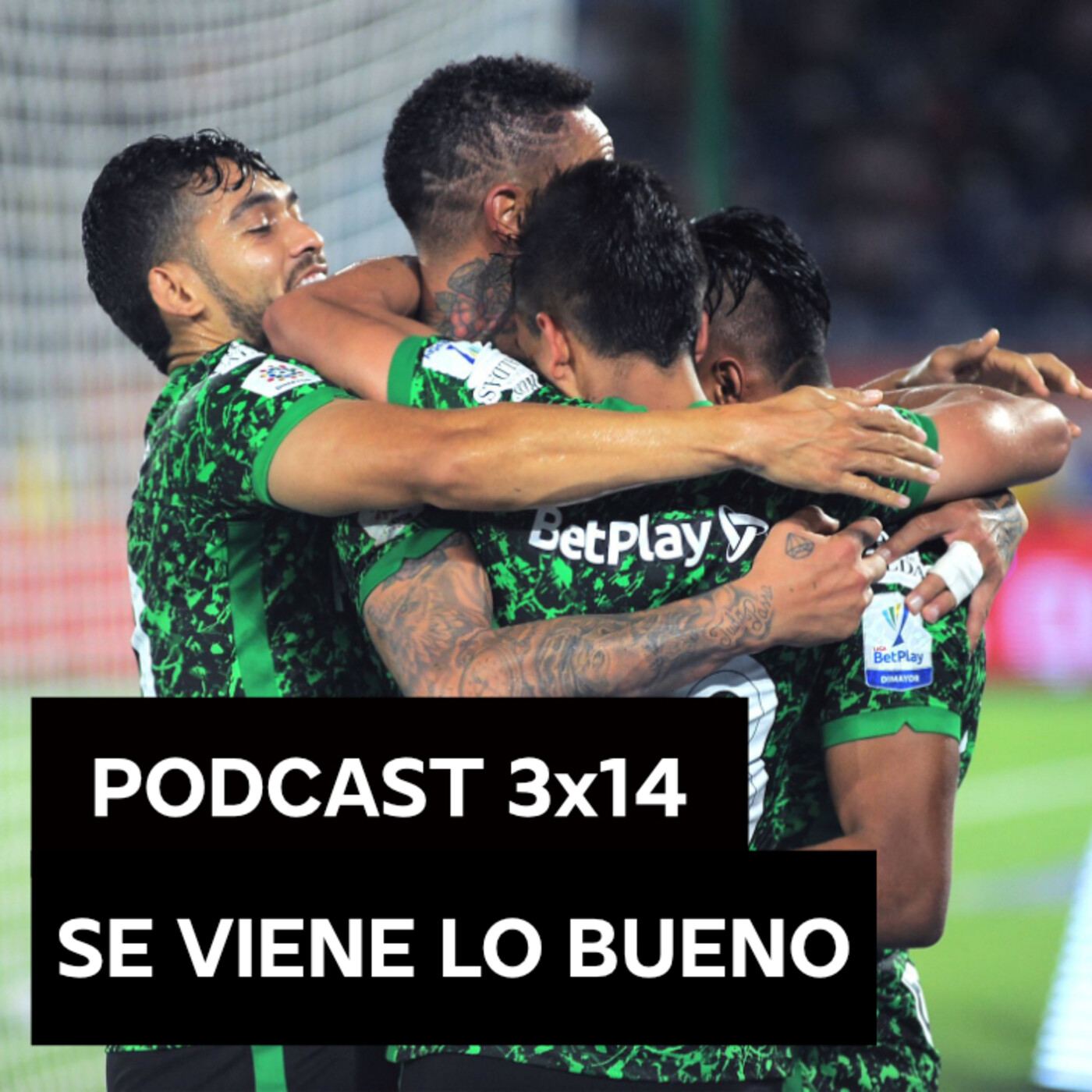 La Página Verdolaga - Podcast