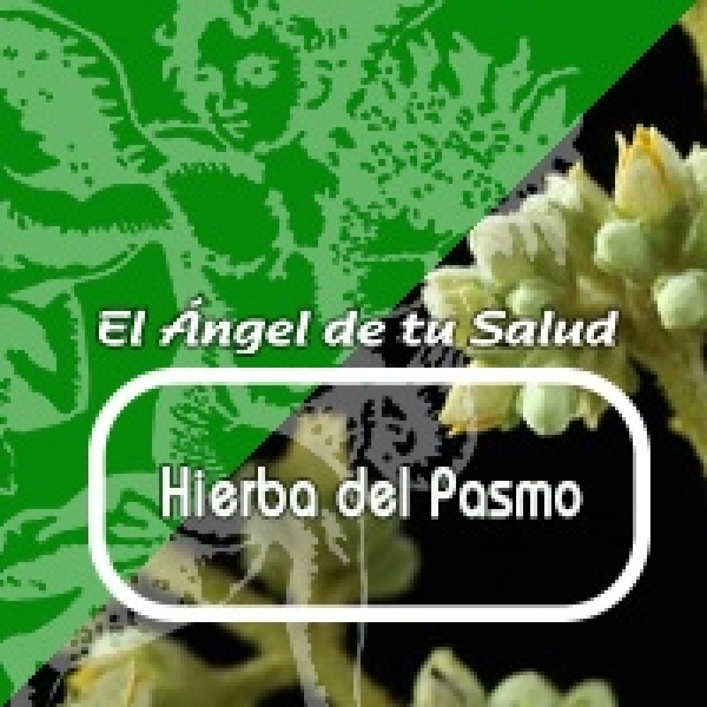 El Ángel de tu Salud - HIERBA DEL PASMO **** episode artwork