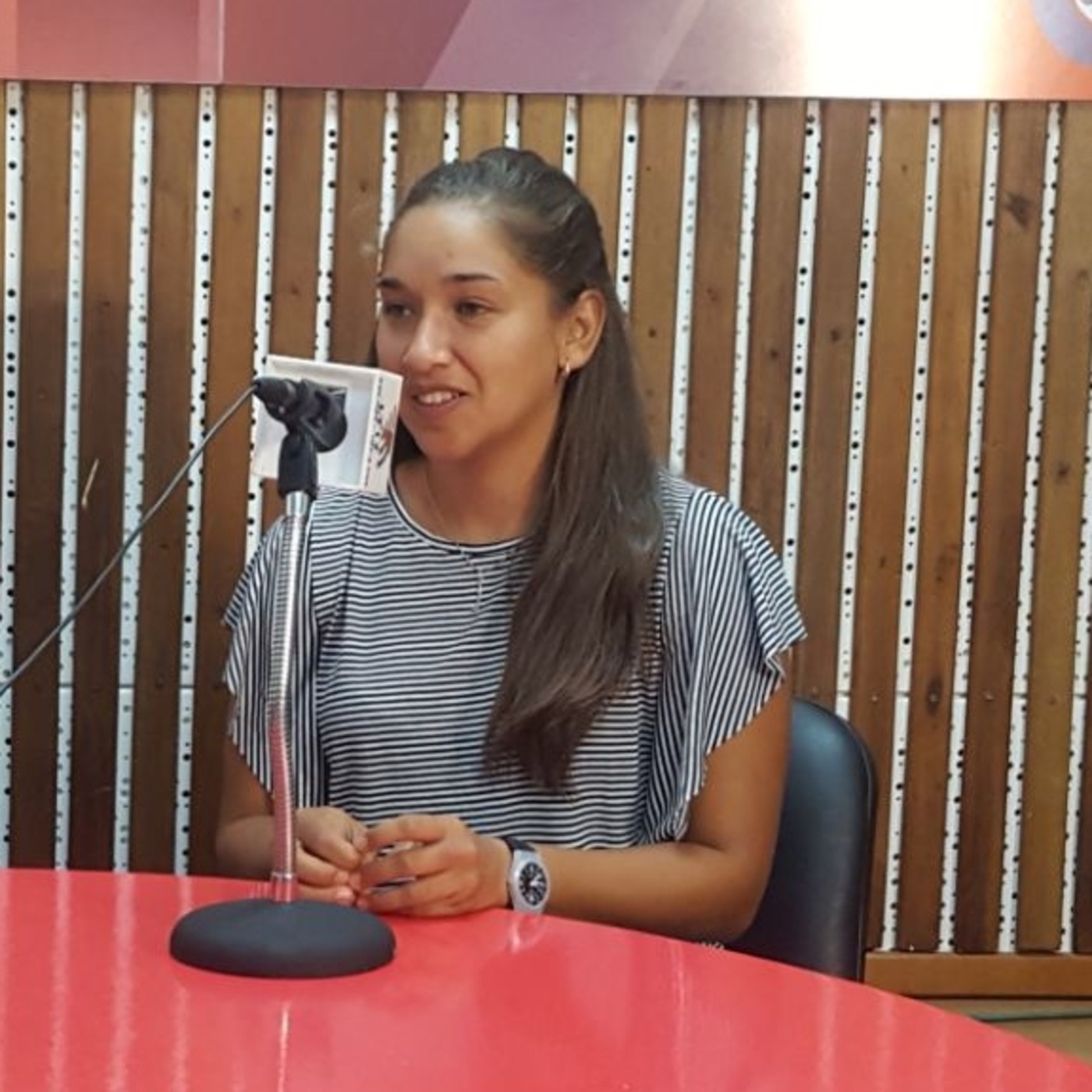Radio Provincia de Misiones