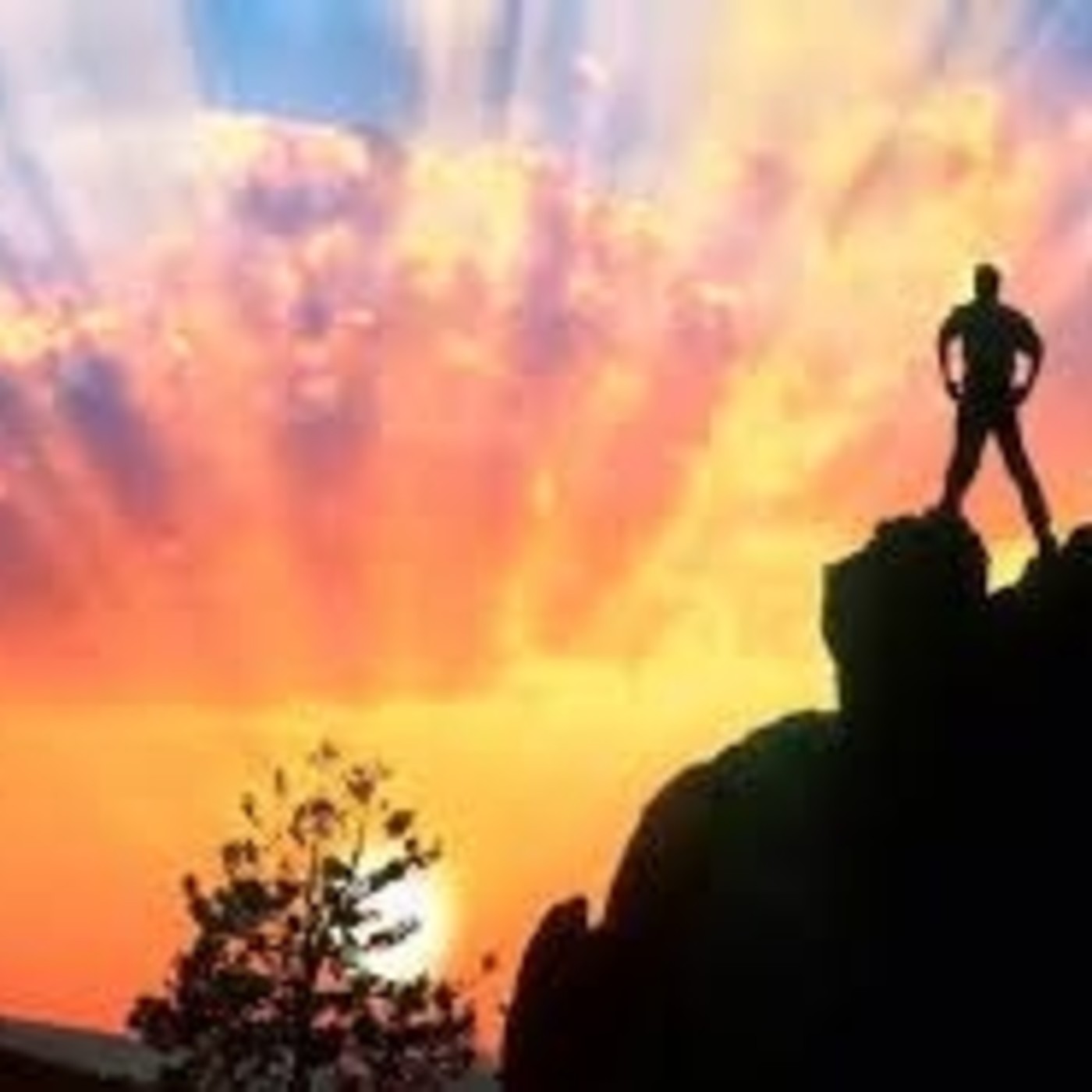 Manuel de Instrucciones 2019