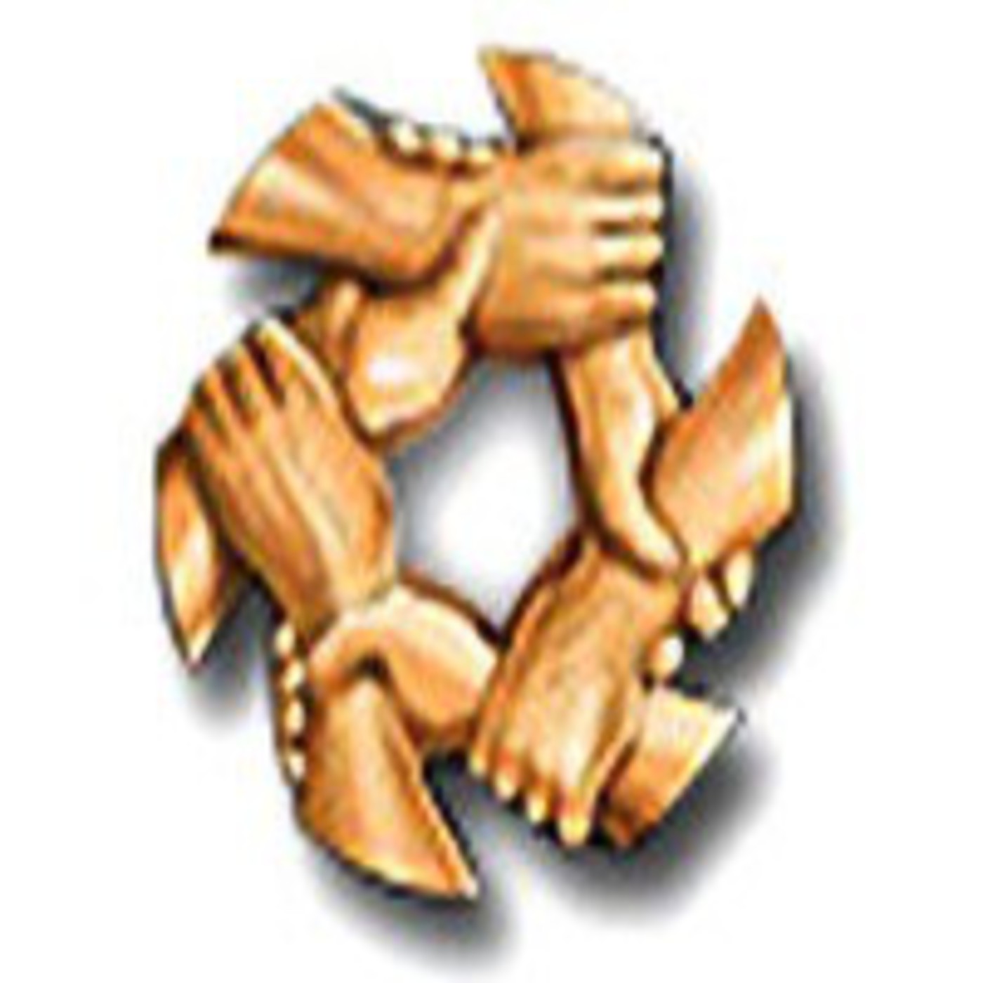 SYNERGY WORLDWIDE ESPAÑA