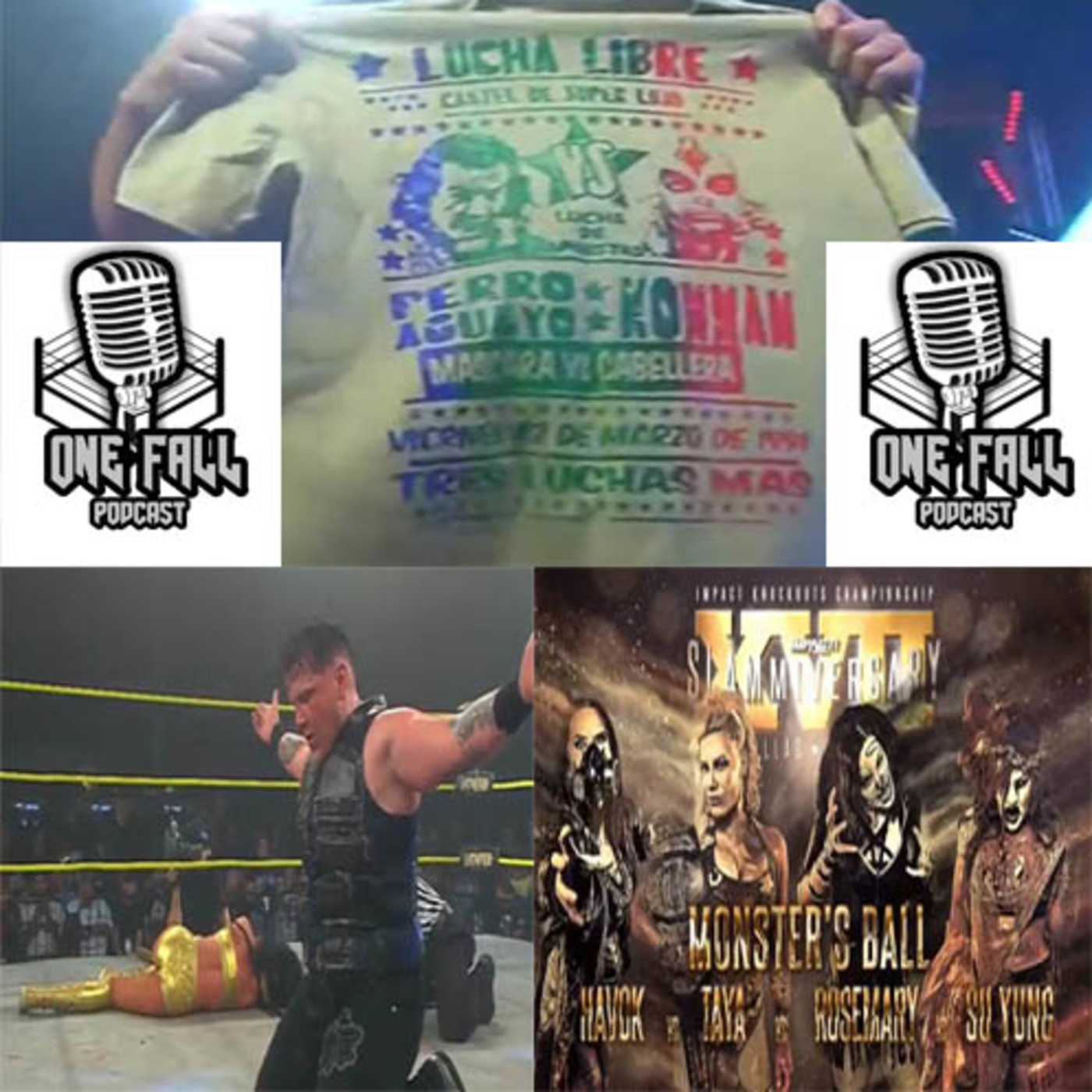 One Fall Podcast # 58 - Reporte de Slammiversary XVII episode artwork