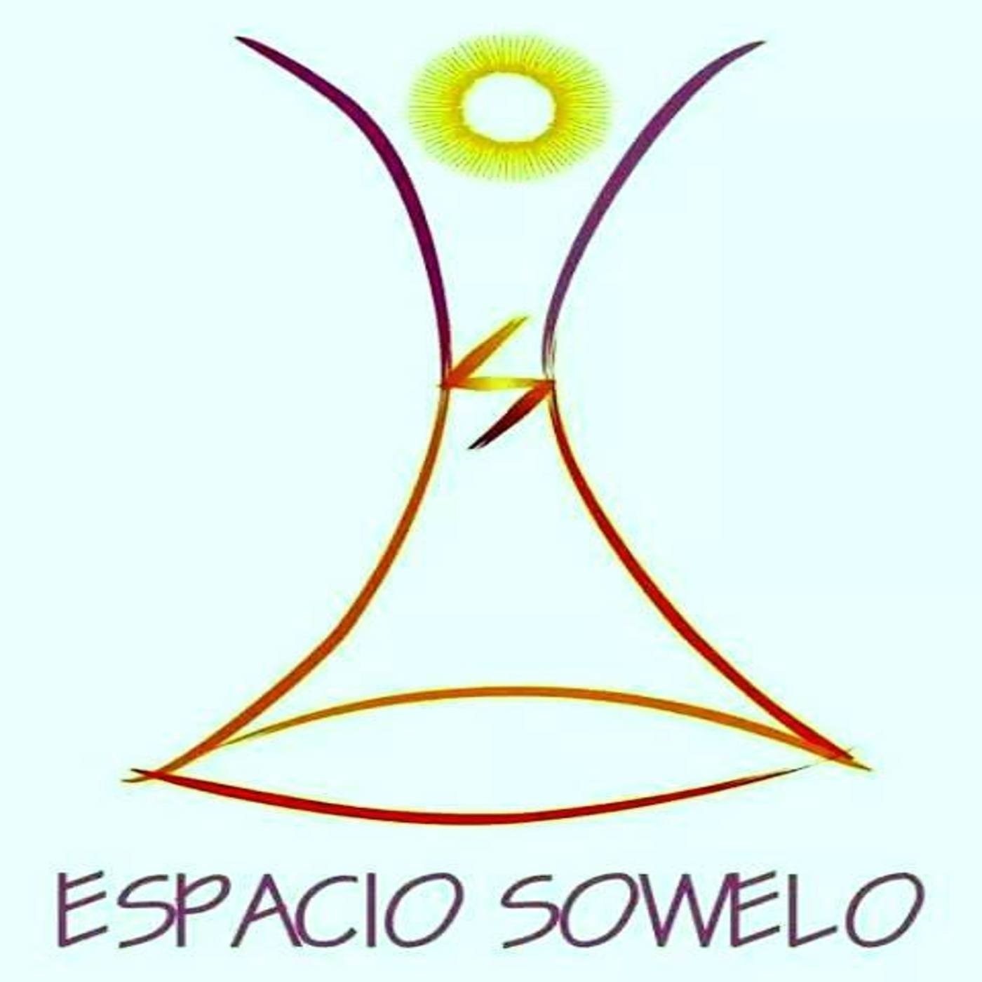 LA TELARAÑA PROGRAMAS ANTERIORES