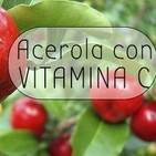 El Angel de tu Salud - ACEROLA CON VITAMINA E
