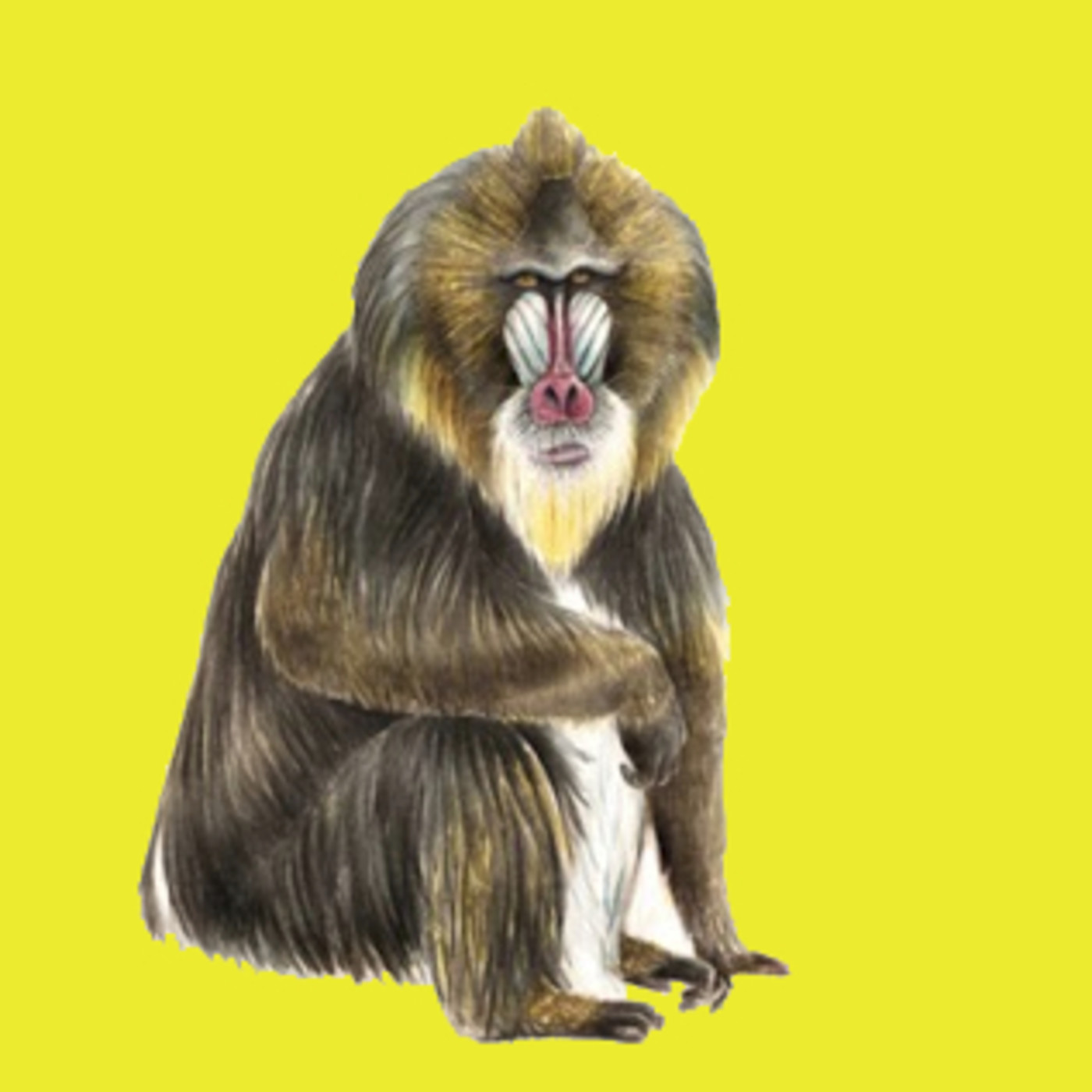 Ilustraciencia no MUNCYT