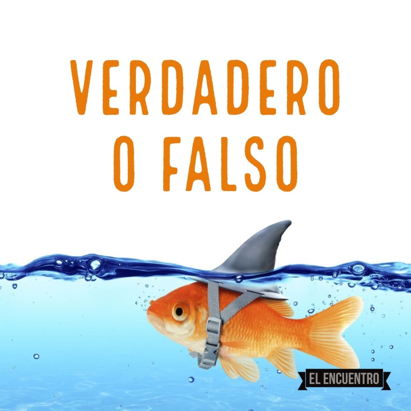 Verdadero o Falso