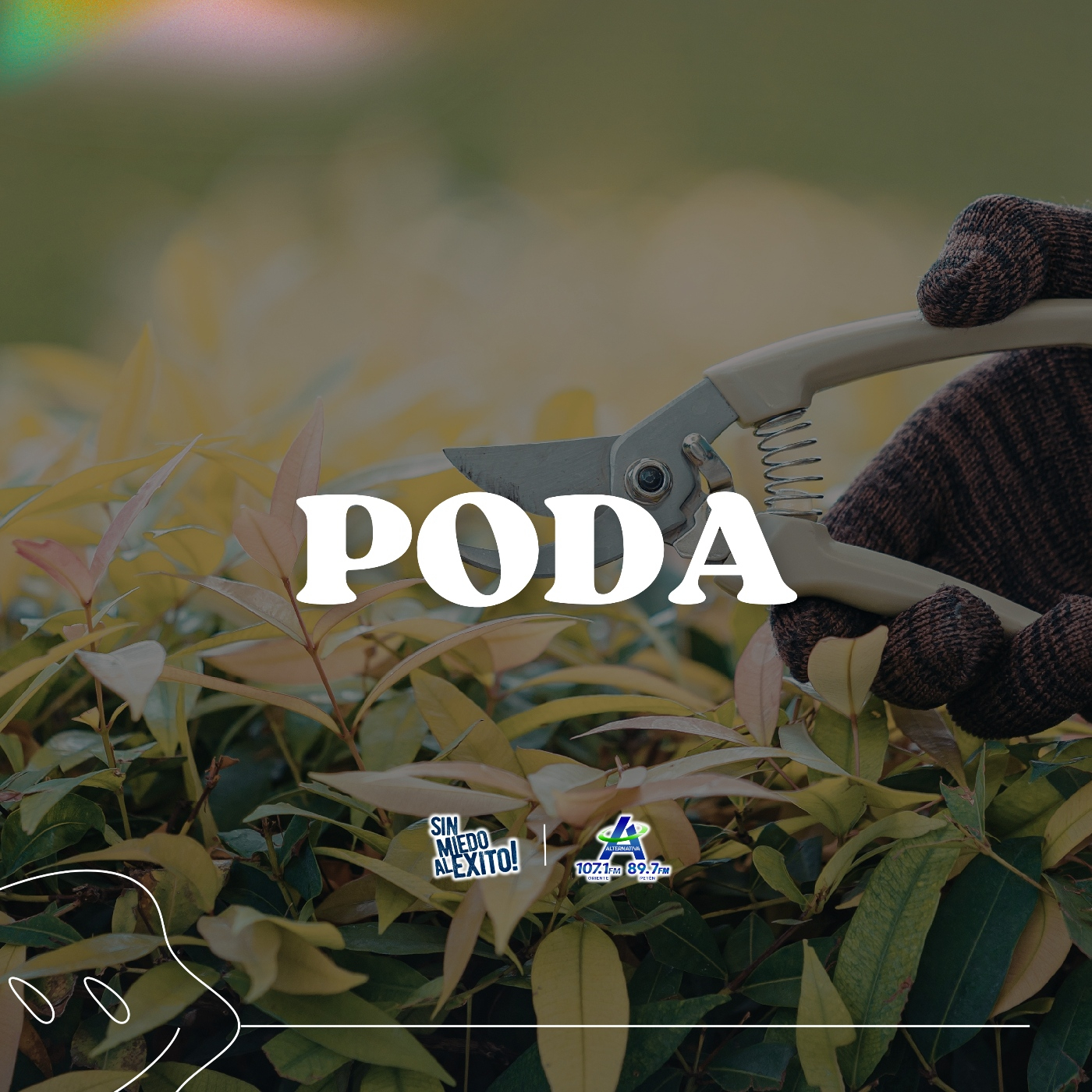 Poda episode artwork