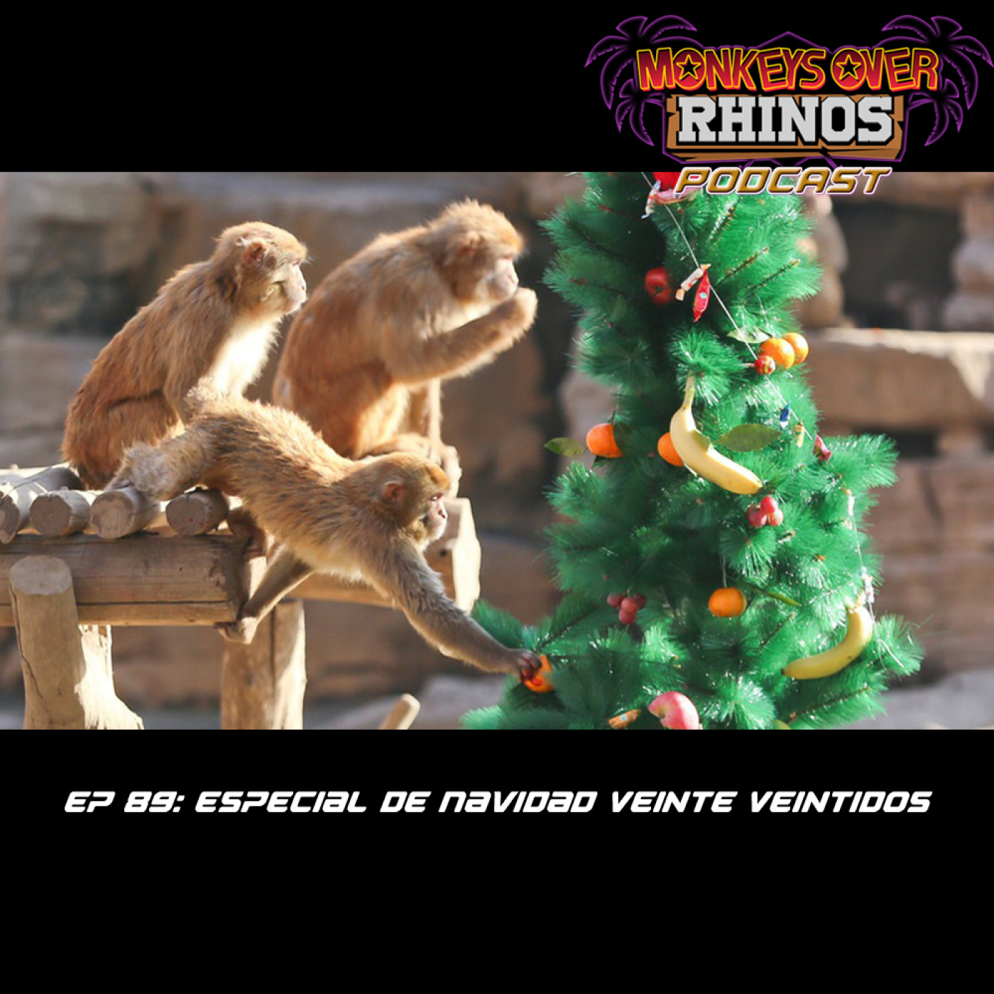 Monkeys over Rhinos
