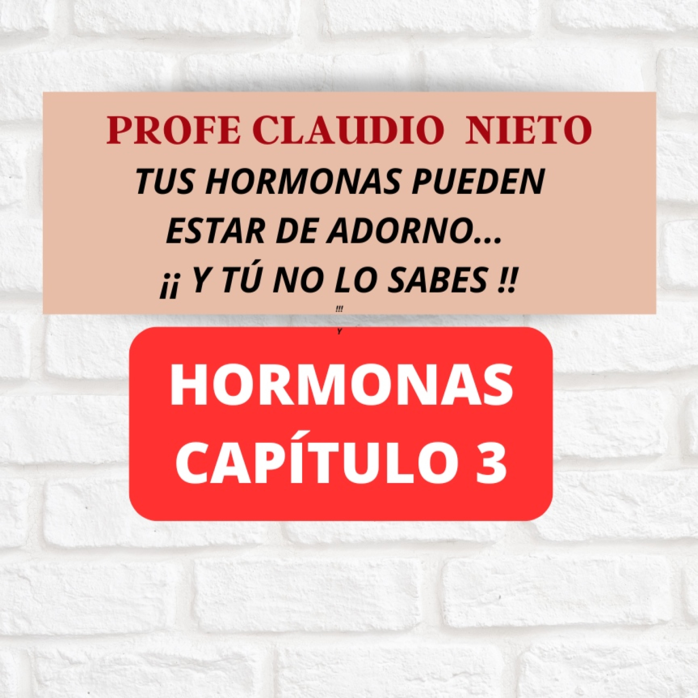 235. HORMONAS 3: NO SON LAS QUE TIENES... SON las que PUEDES USAR