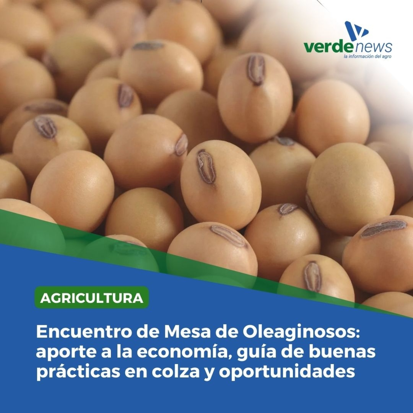 Sebastián Mazzilli - director del sistema nacional agrícola ganadero del INIA -04/10/24 episode artwork