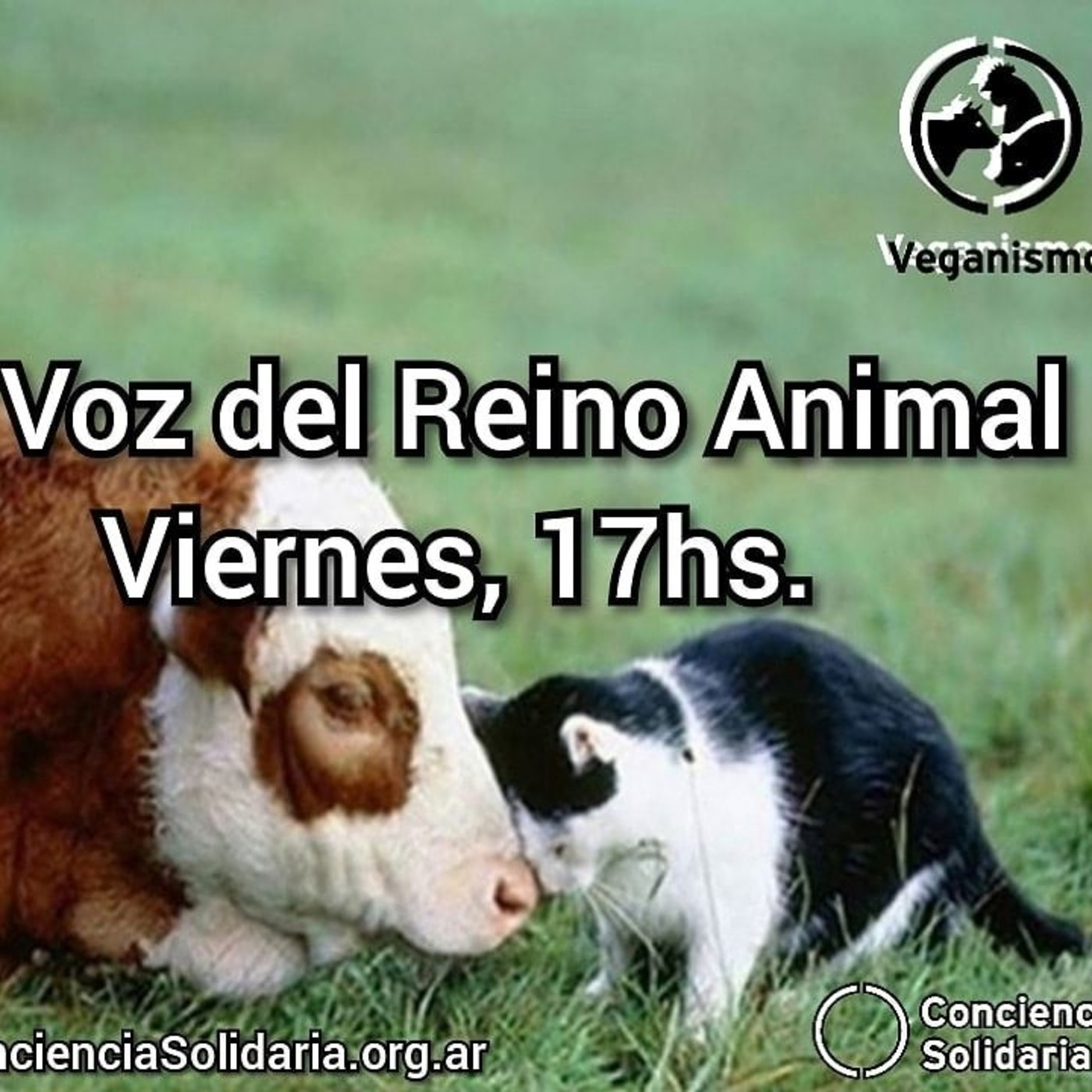 ¡Enganchate con #LaVozDelReinoAnimal! 7.6.19 episode artwork