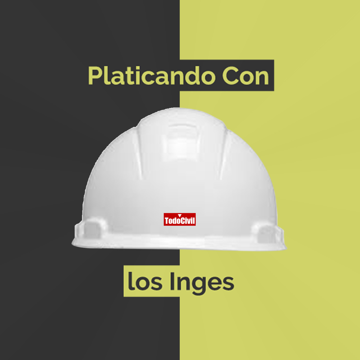 Platicando Con los Inges