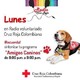 Amigos Caninos 20190617
