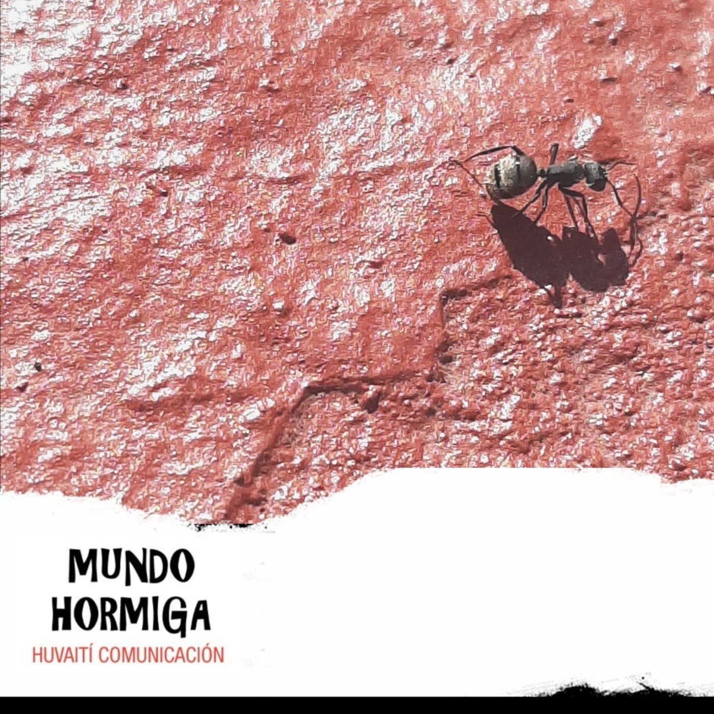 Mundo Hormiga 1 de agosto de 2021 episode artwork