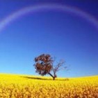 El mundo no es un arcoiris