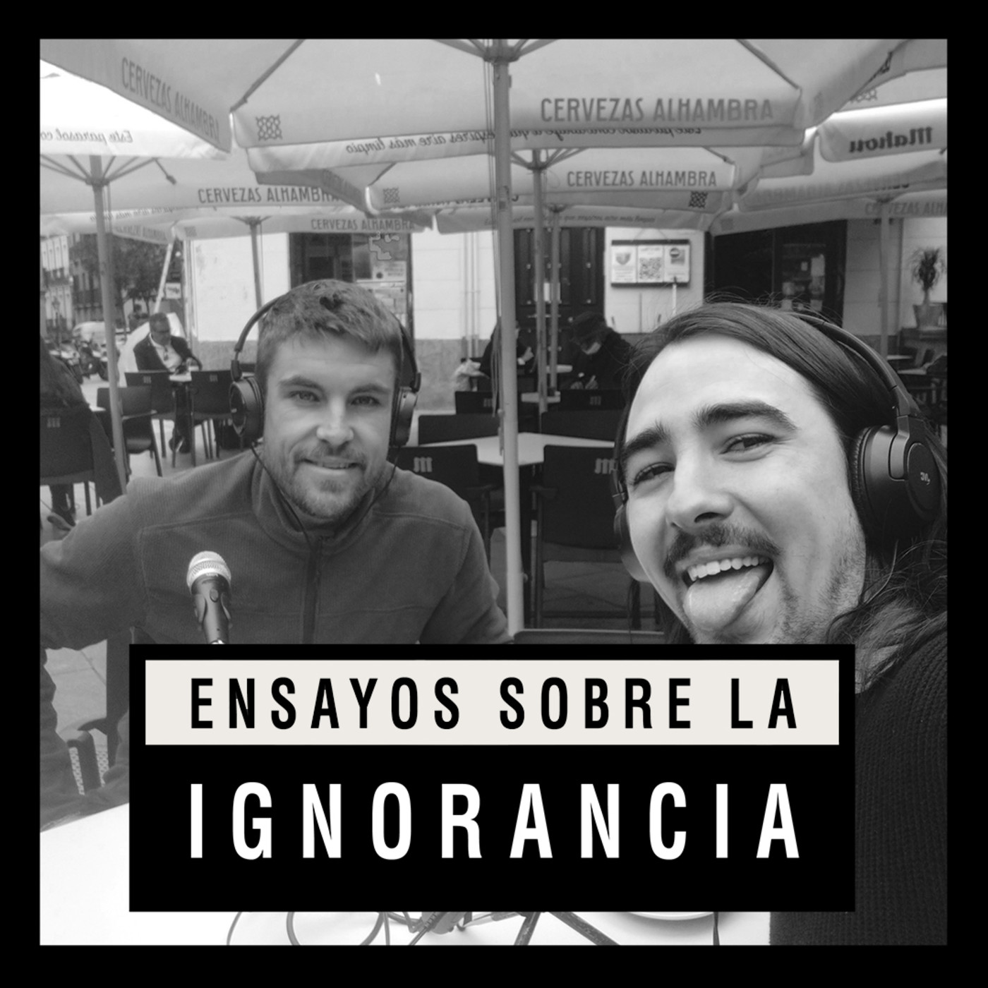 Ensayos sobre la ignorancia