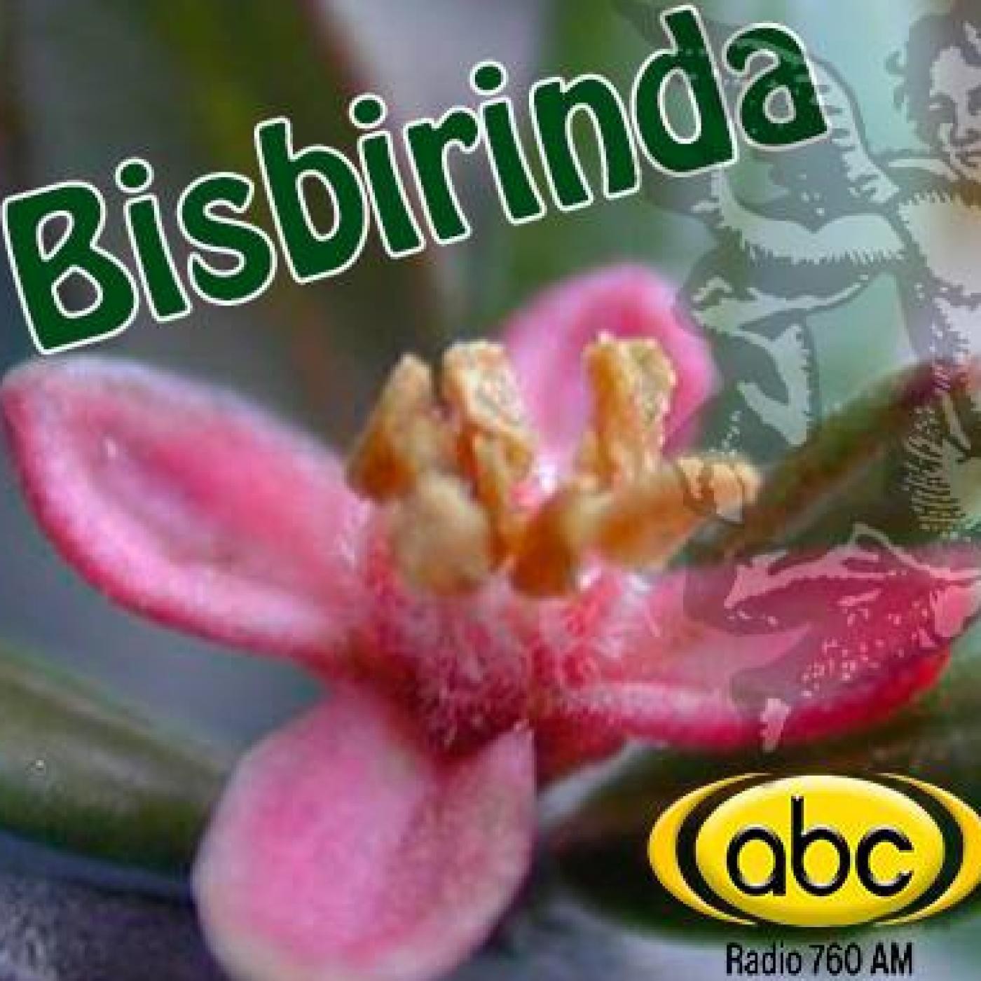 EL ÁNGEL DE TU SALUD- Rodrigo Mondragón - BISBIRINDA episode artwork