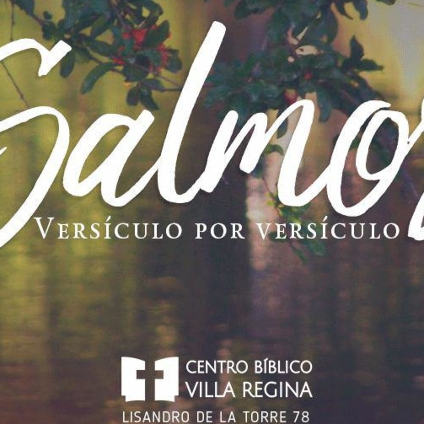 Salmos, versículo por versículo