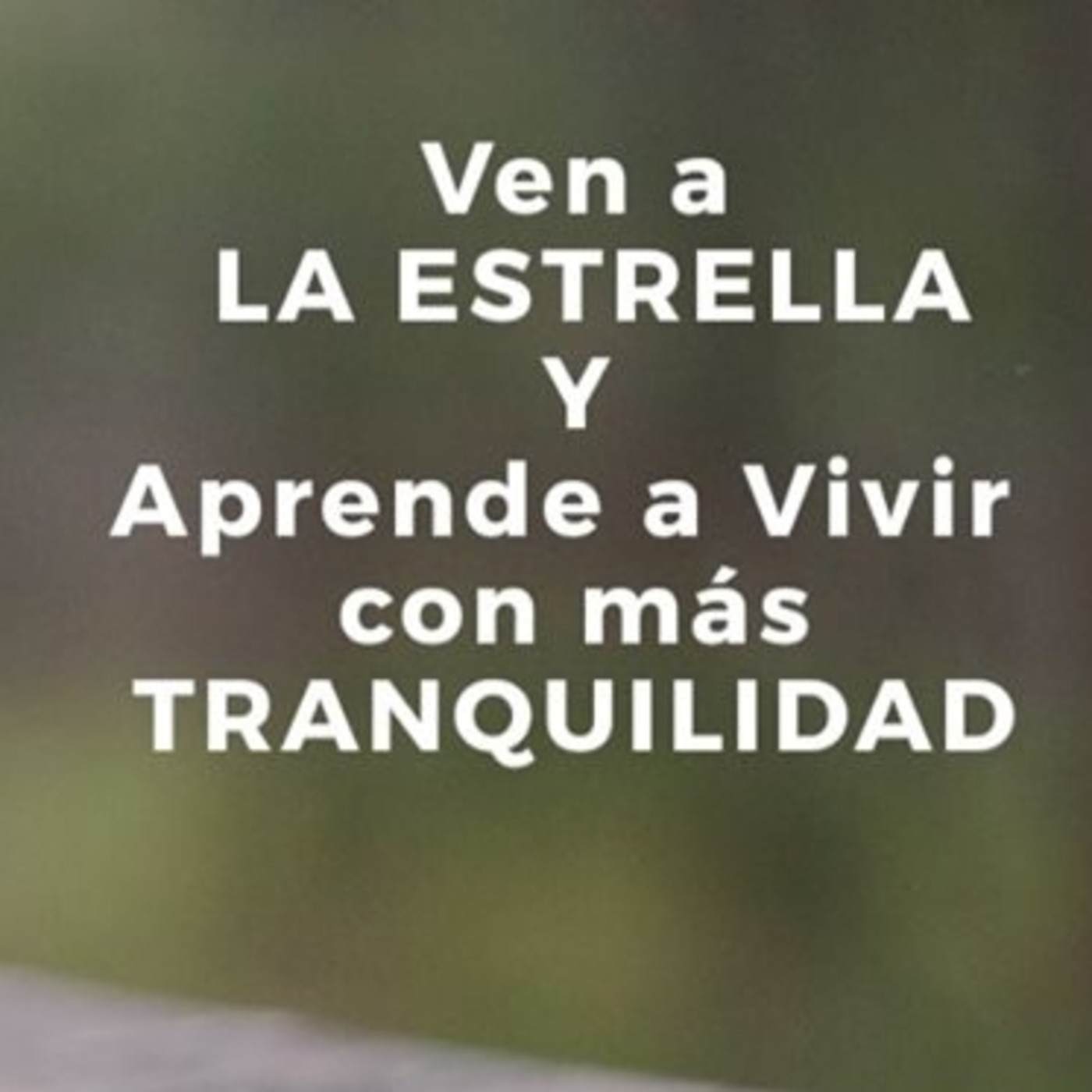 Mindfulness con Luz Navas Torres