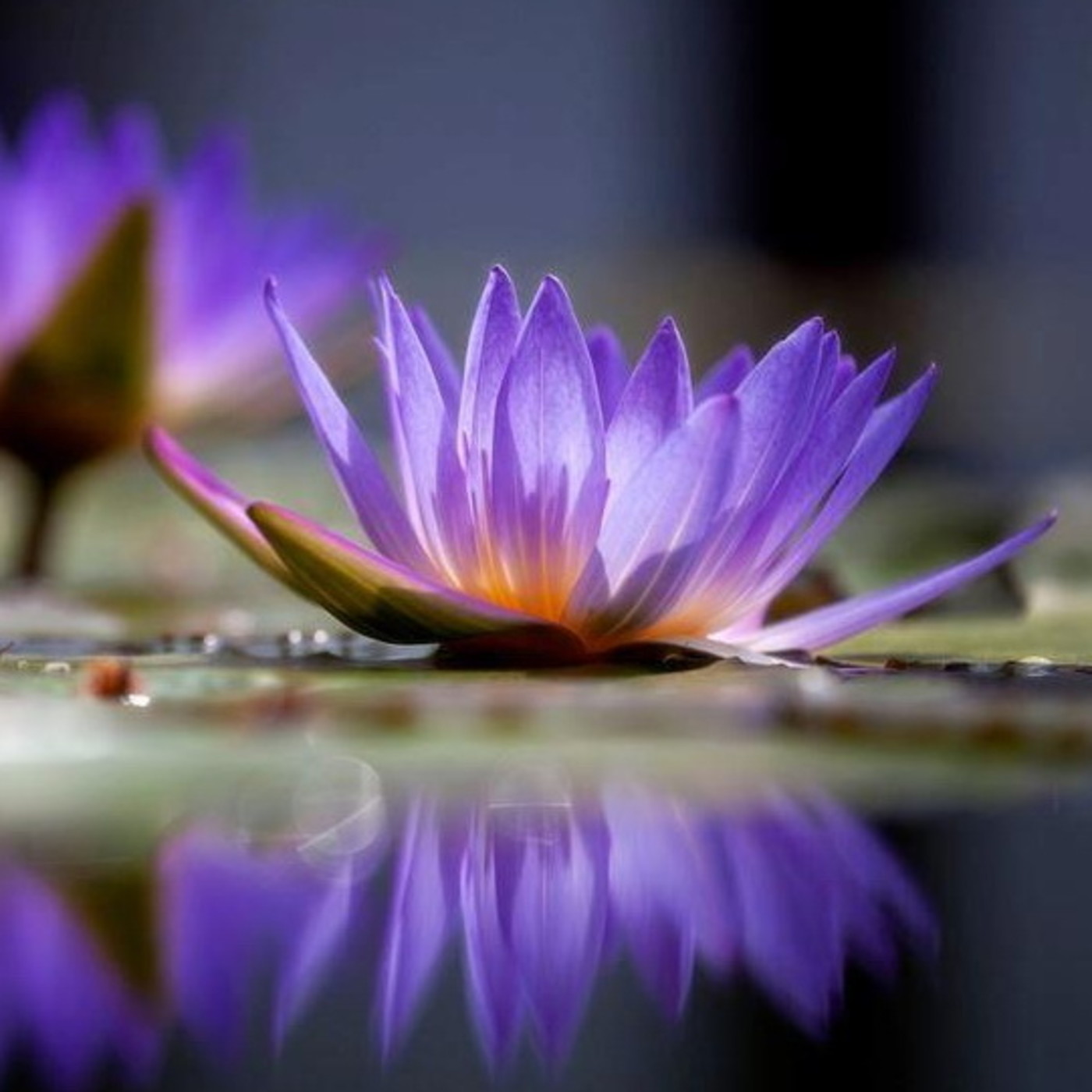 Brahma Kumaris Valencia