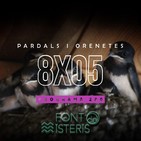 FONT DE MISTERIS T8P05- ENIGMES DE LES ORONETES I ALTRES OCELLS- Programa 280| IB3 Ràdio