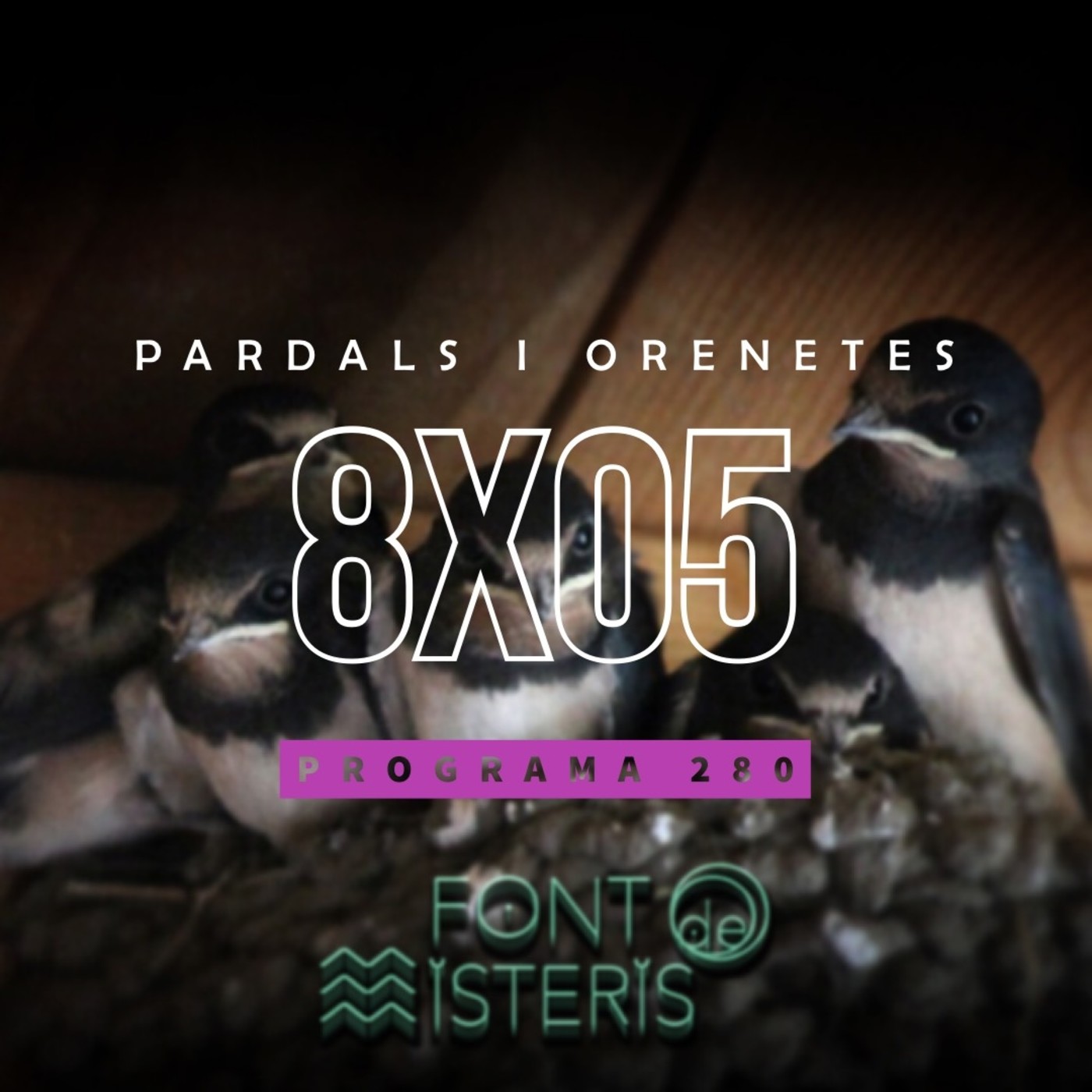 Podcast de Font de Misteris