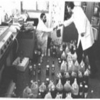 Andreas Faber Kaiser,El sindrome toxico,(caso colza)