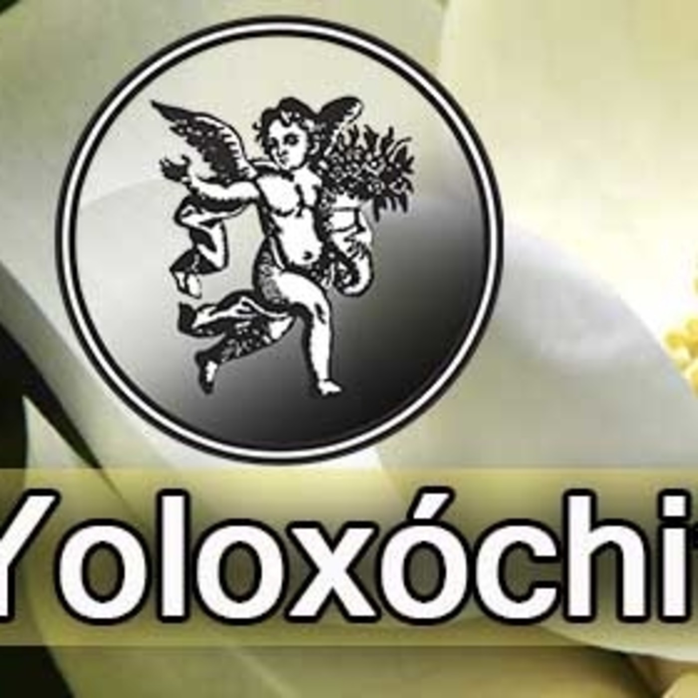 El Angel de tu Salud - YOLOXÓCHITL episode artwork