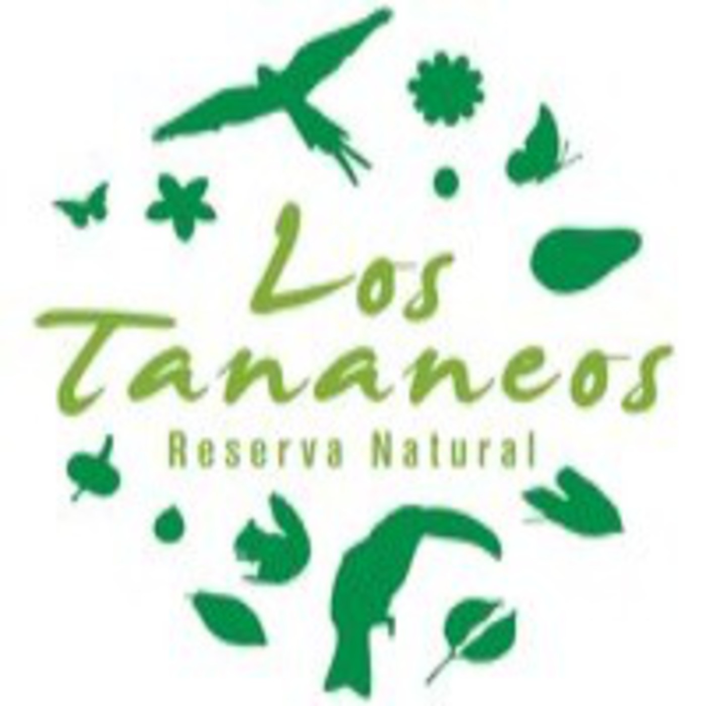 Noticias Ecojugando