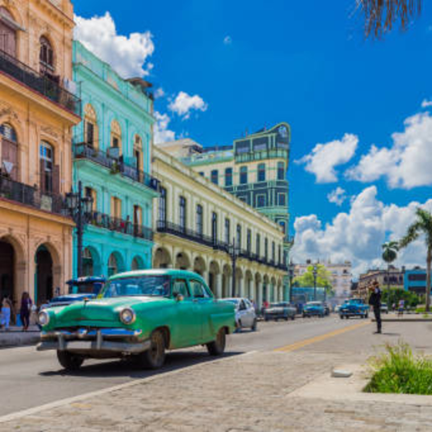Los imperdibles de la Viajera
