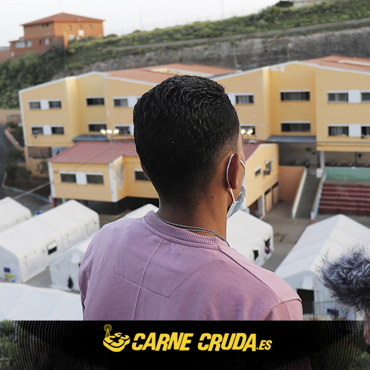 Carne Cruda - PROGRAMAS