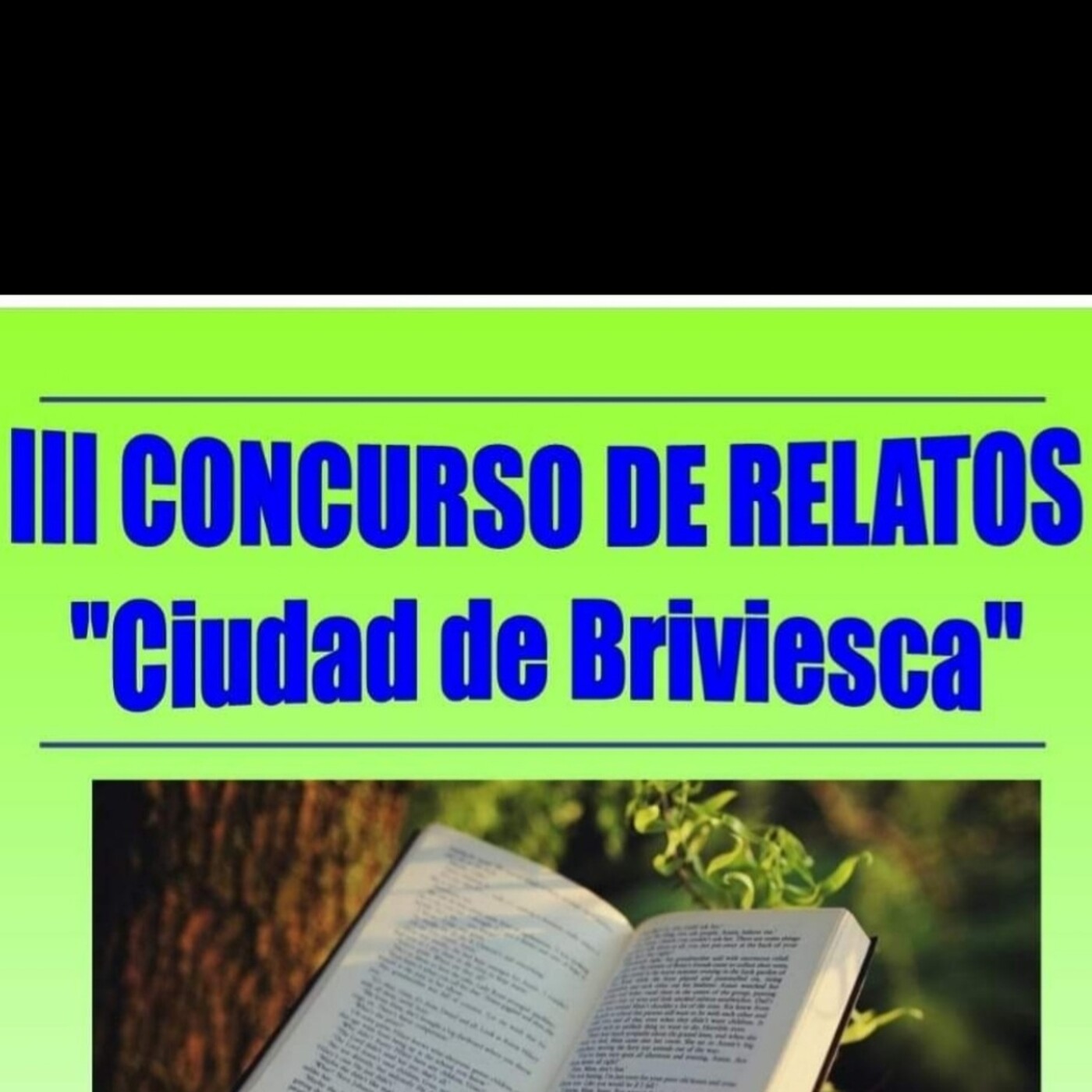 Un libro en RB. (Recopilación últimas temporadas)