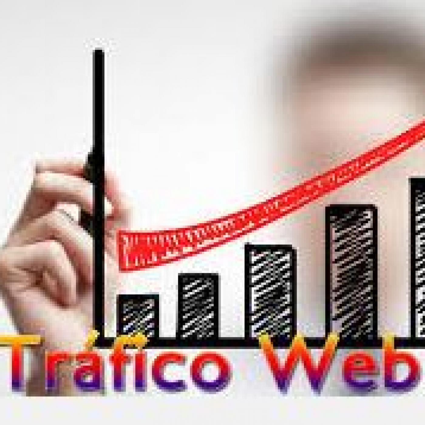 TRAFICO WEB TM2