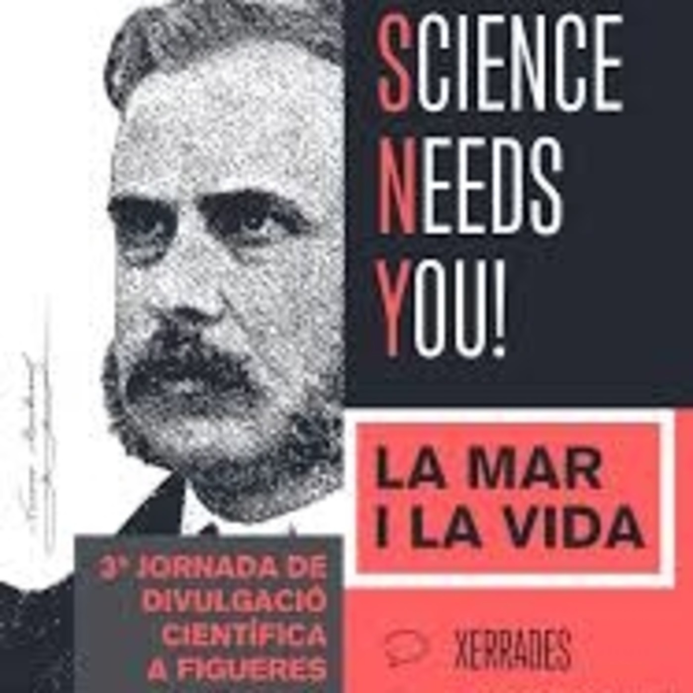 Llibres al magazin Quin Matí