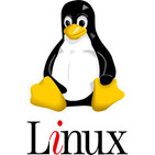 Linux, la gran alternativa