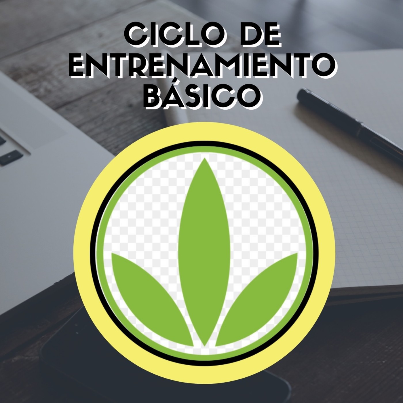 HBL DE LOS PROFESIONALES