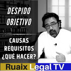 DESPIDO | Despido Objetivo | Causas Objetivas Economicas | Despido Procedente | Despido Improcedente